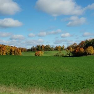 Meet your Posher, Jodi